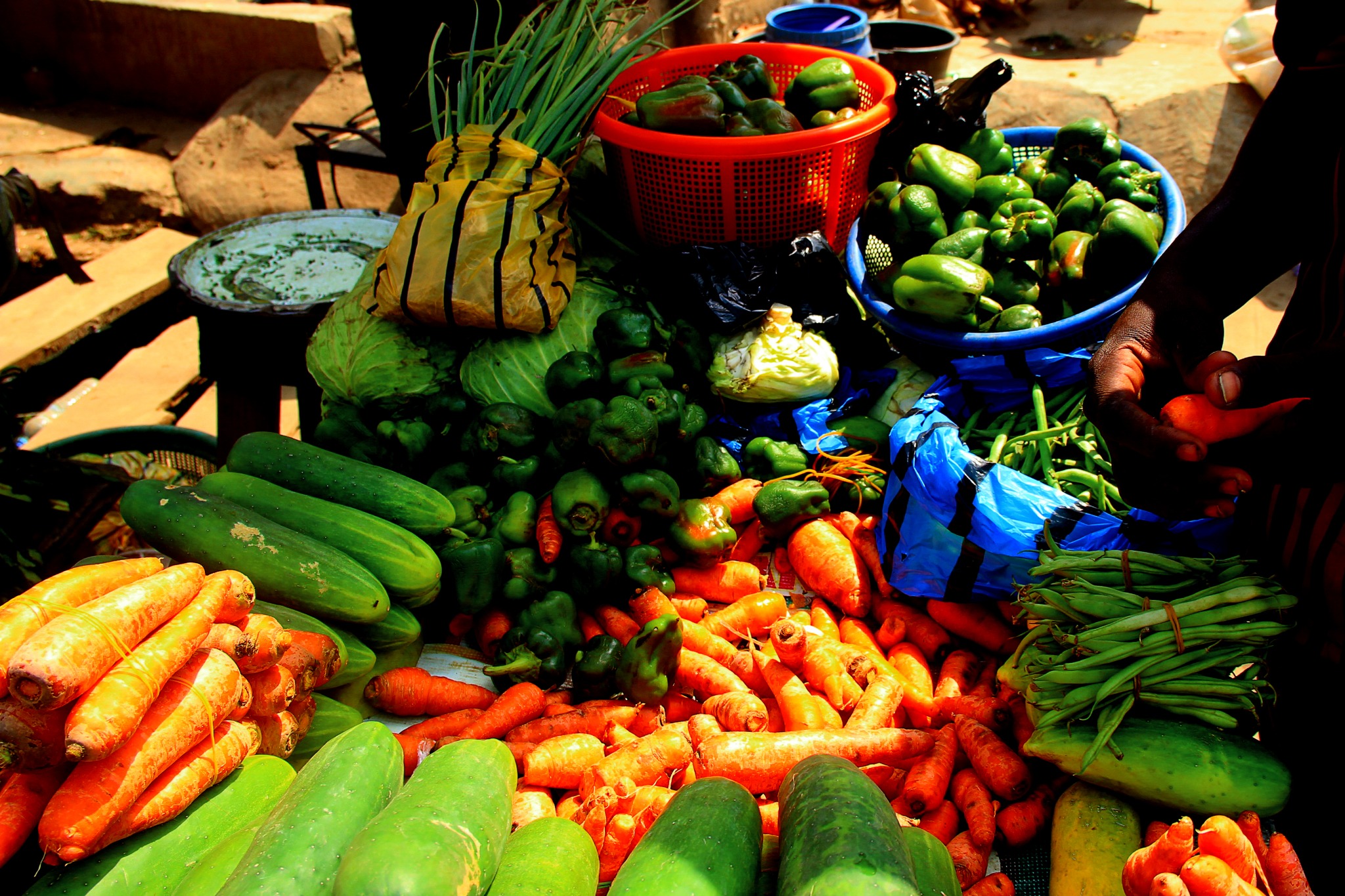 What Earth Provides